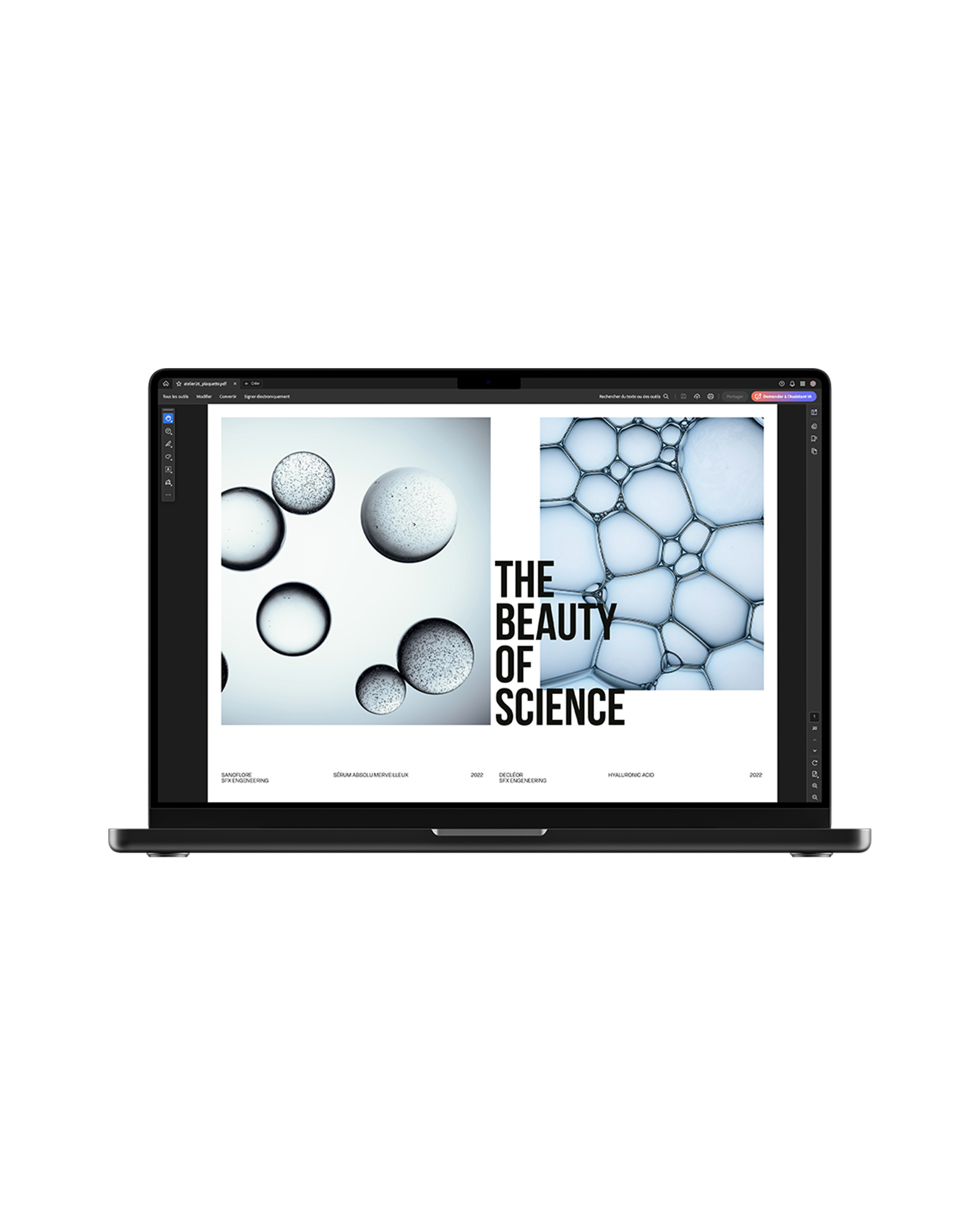 graphic design artwork Jean-Baptiste Charlemagne